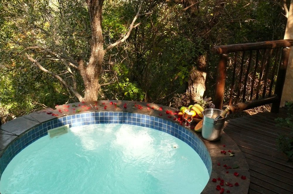 Private pool - Mkuze Falls Lodge in Amazulu Game Reserve near Hluhluwe iMfolozi, KwaZulu-Natal
