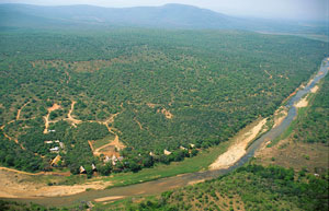 Amazulu Game Reserve,Hluhluwe iMfolozi Reservations