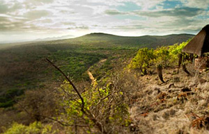 Manyoni Private Game Reserve Zululand Rhino Reserve Hluhluwe iMfolozi Reservations