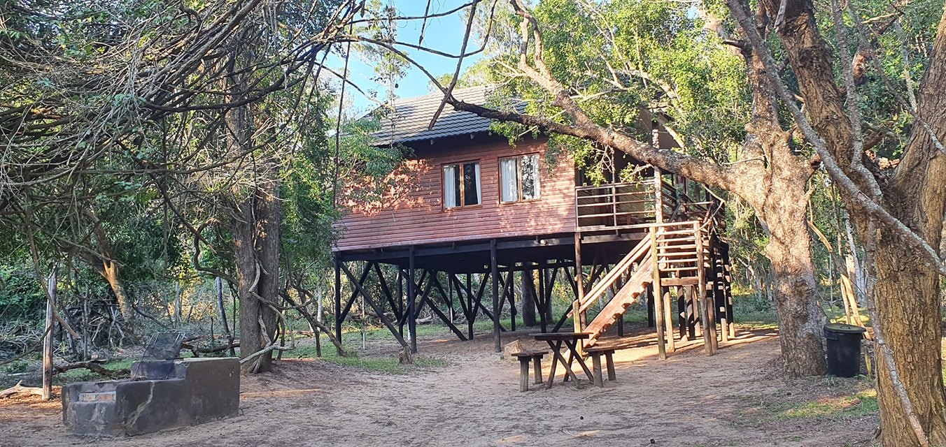 Bonamanzi Safari Lodge | Self-Catering and Fully Catering Lodge - Hluhluwe iMfolozi Reservations