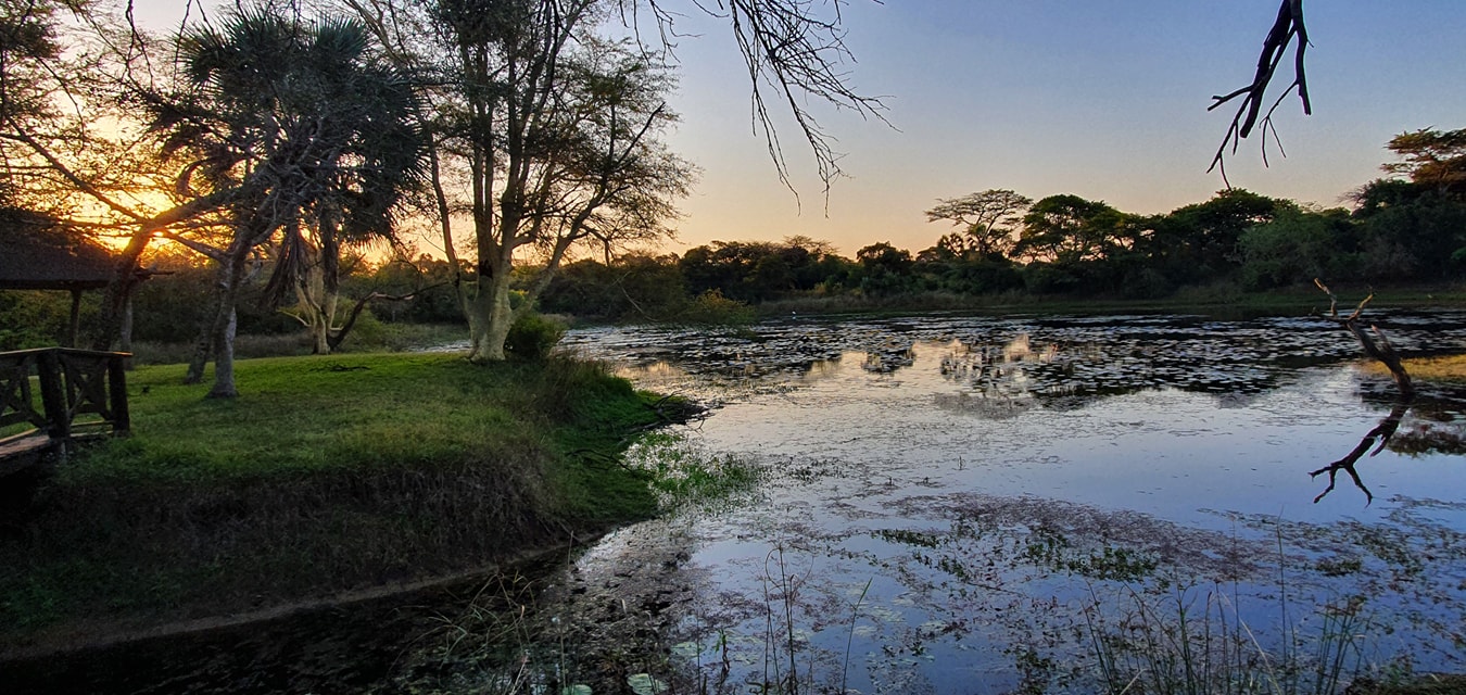 Bonamanzi Safari Lodge | Self-Catering and Fully Catering Lodge - Hluhluwe iMfolozi Reservations