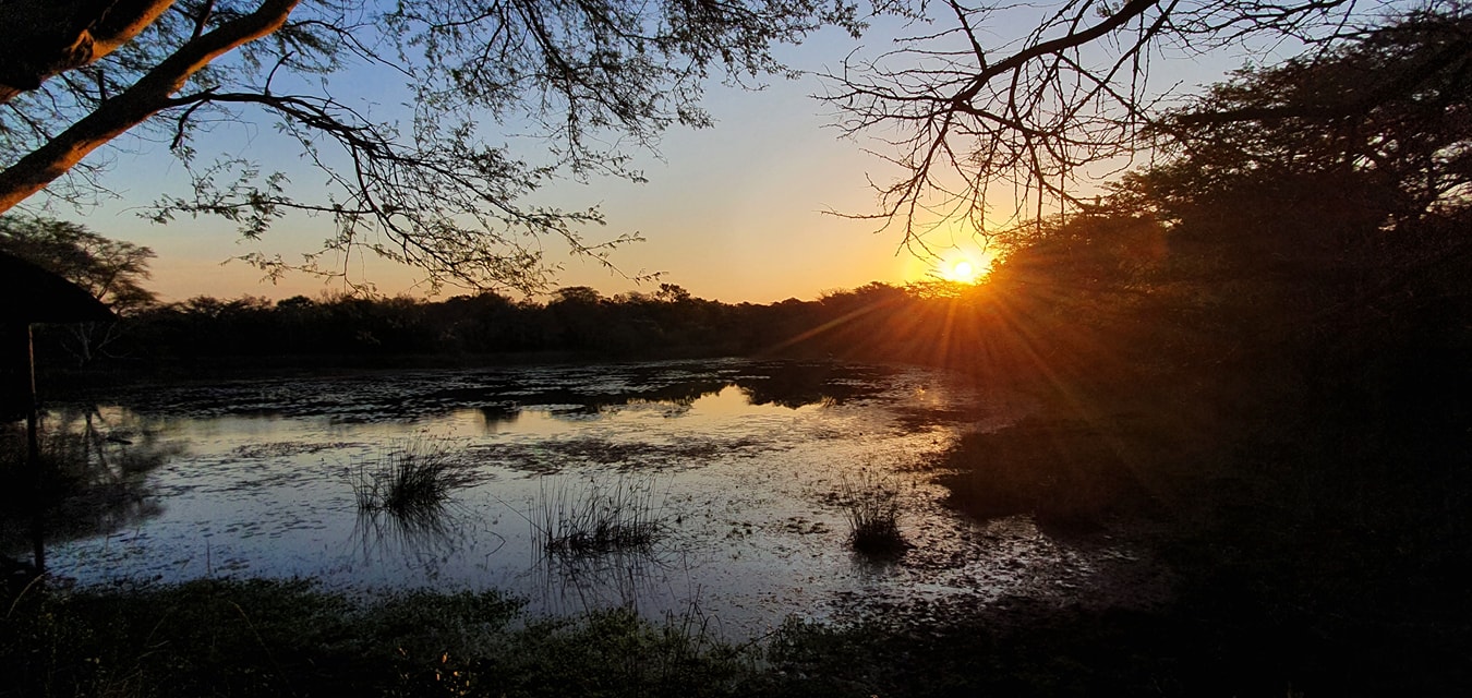 Bonamanzi Safari Lodge | Self-Catering and Fully Catering Lodge - Hluhluwe iMfolozi Reservations