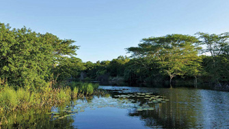 Falaza Game Park luxury tented accommodation KwaZulu-Natal Hluhluwe iMfolozi Game Reserve