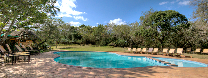 Swimming Pool Hilltop Camp Accommodation Booking Hluhluwe iMfolozi uMfolozi Game Reserve Game Park KwaZulu-Natal South Africa