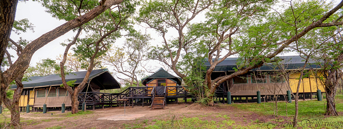 4 Bed Safari Tent - Mpila Camp Hluhluwe iMfolozi uMfolozi Game Reserve Self-catering Accommodation KwaZulu-Natal South Africa Big 5 Safari Park