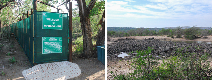 Mphafa Hide Hluhluwe iMfolozi uMfolozi Game Reserve Mpila Camp Self-catering Accommodation KwaZulu-Natal South Africa Big 5 Safari Park