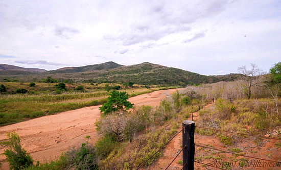 Stunning views from your self catering unit - Hluhluwe iMfolozi Game Reserve Big 5 Nselweni Bush Camp Self Catering Accommodation Bookings KwaZulu-Natal South Africa