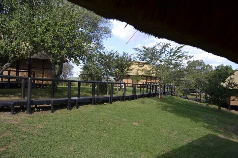 Gqoyeni Bush Lodge, Hluhluwe iMfolozi Game Reserve, Zululand Accommodation Bookings