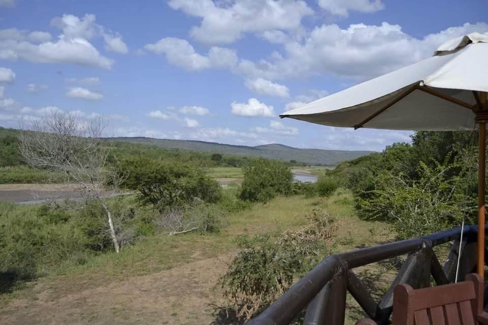 Gqoyeni Bush Lodge, Hluhluwe iMfolozi Game Reserve, Zululand Accommodation Bookings