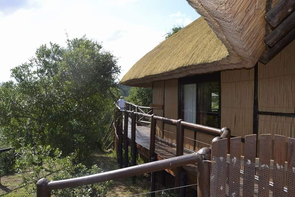 Gqoyeni Bush Lodge, Hluhluwe iMfolozi Game Reserve, Zululand Accommodation Bookings