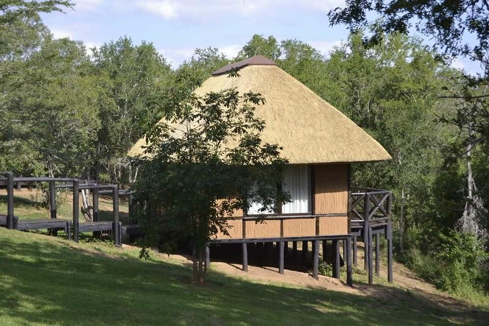 Gqoyeni Bush Lodge, Hluhluwe iMfolozi Game Reserve, Zululand Accommodation Bookings