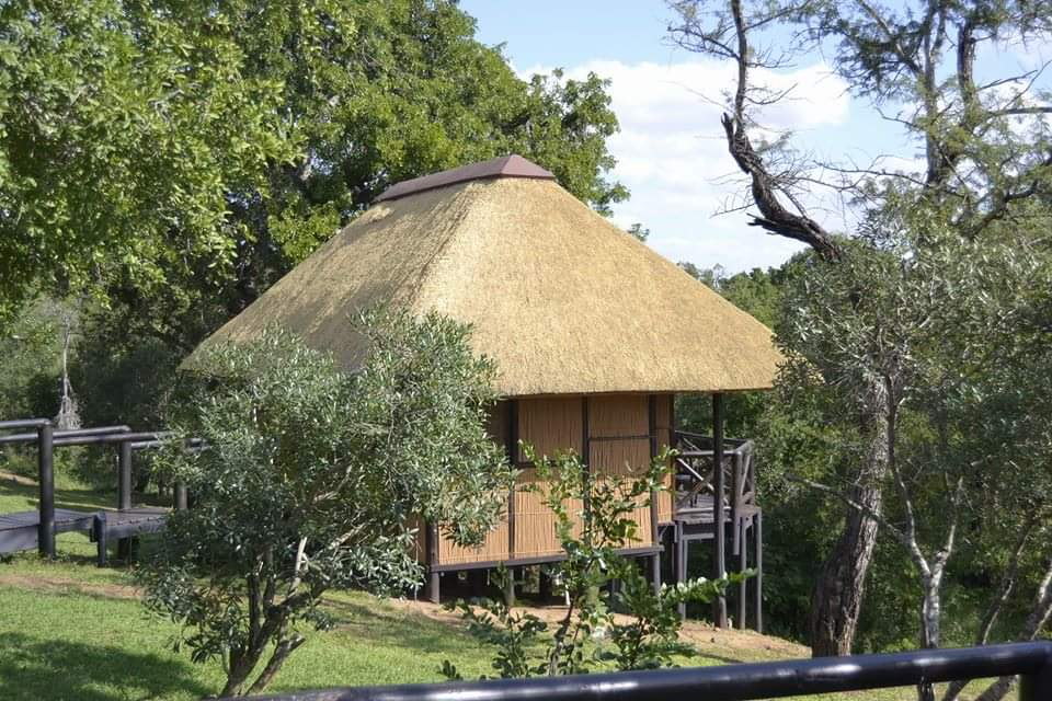 Gqoyeni Bush Lodge, Hluhluwe iMfolozi Game Reserve, Zululand Accommodation Bookings