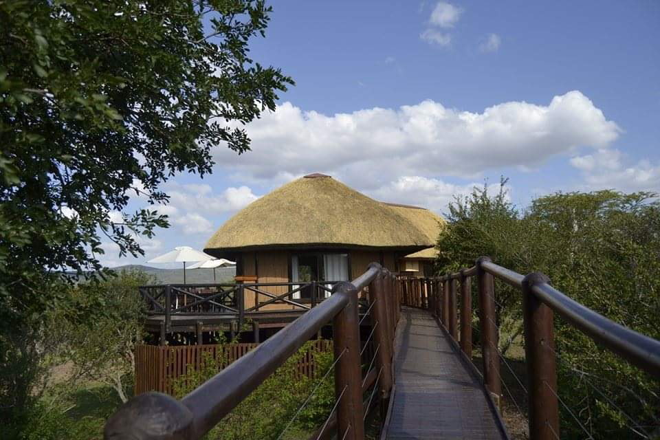 Gqoyeni Bush Lodge, Hluhluwe iMfolozi Game Reserve, Zululand Accommodation Bookings