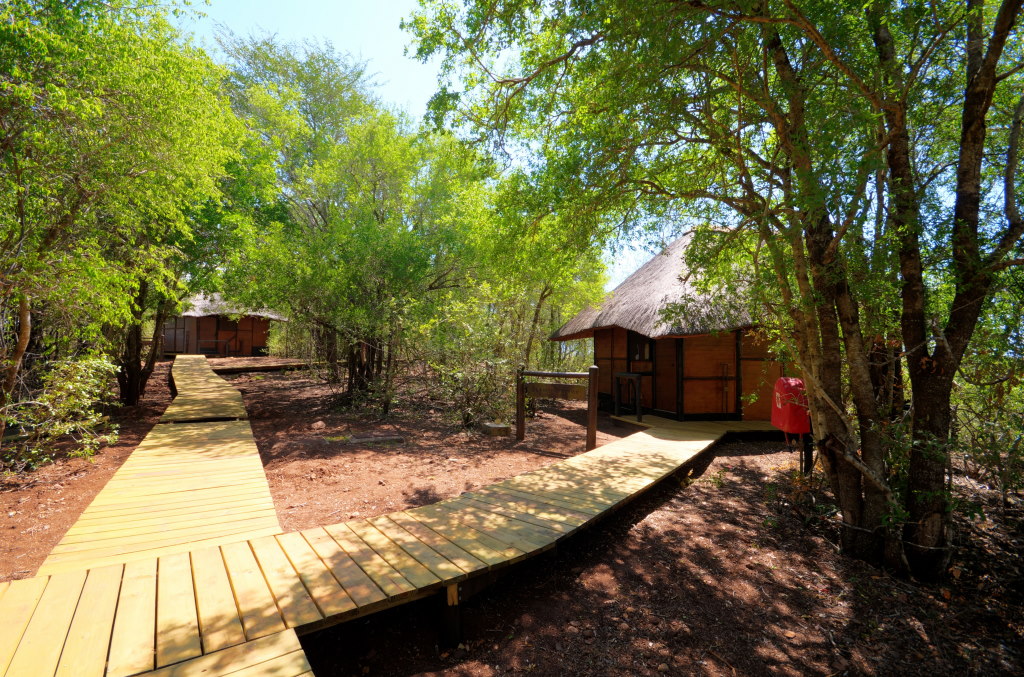 Nhlonhlela Bush Lodge Mkuze Game Reserve Hluhluwe iMfolozi Reservations