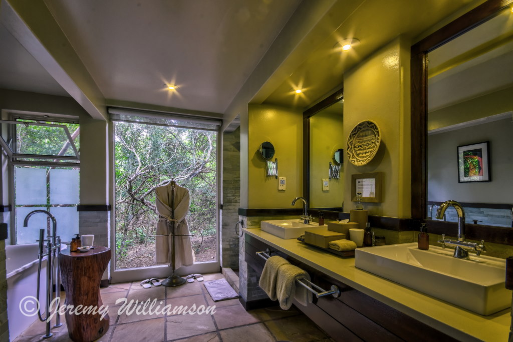 Main Lodge Lounge Luxury Game Lodge Phinda Forest Lodge Phinda Private Game Reserve Big 5 Safari