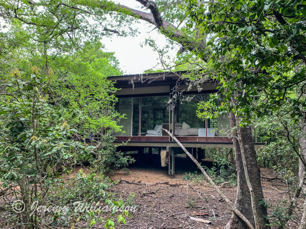 Main Lodge Deck Area Lounge Luxury Game Lodge Phinda Forest Lodge Phinda Private Game Reserve Big 5 Safari