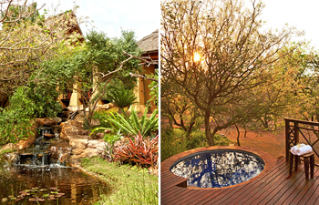 Garden Plunge Pool Thanda Private Villa iZulu Exclusive Use Thanda Private Game Reserve Accommodation Bookings