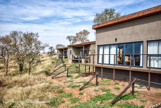 Zimanga Main Lodge - Double Suite - Zimanga Private Game Reserve