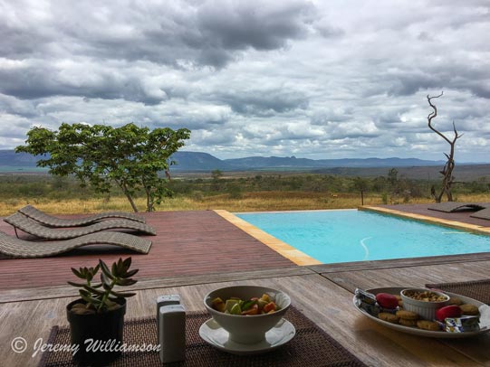 Pool view @ Doornhoek Homestead - Zimanga Private Game Reserve