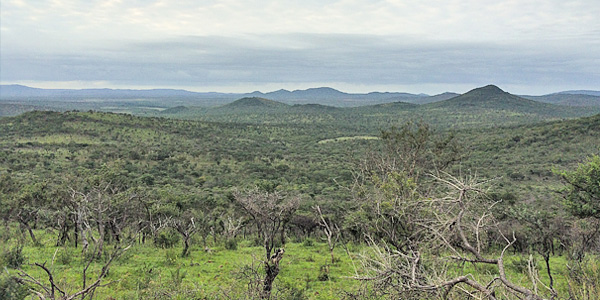 Mavela Game Lodge Manyoni Private Game Reserve Zululand Rhino Reserve Luxury Tented Camp