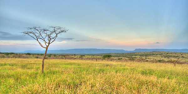 Enjoy an African sunset at Mavela Game Lodge located in the Manyoni Private Game Reserve (Zululand Rhino Reserve), South Africa