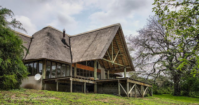 Rhino River Lodge - Manyoni Game Reserve