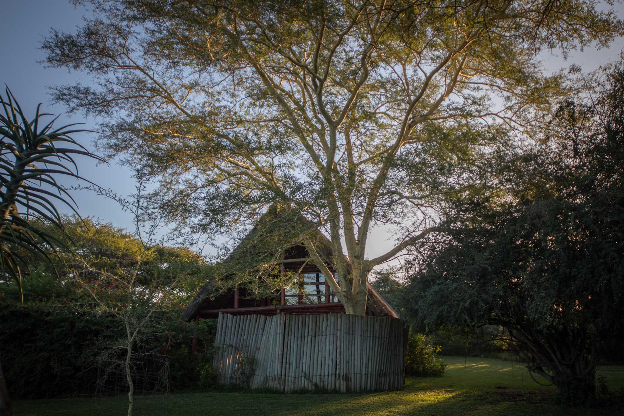 Rhino River Lodge Family Chalets Manyoni Private Game Reserve Zululand Rhino Reserve KwaZulu-Natal South Africa